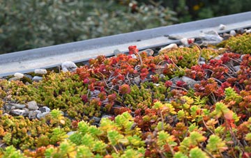 the cost of Bassett green roof installation