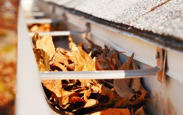 Bassett gutter cleaning companies