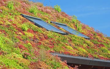 Bassett living roof systems