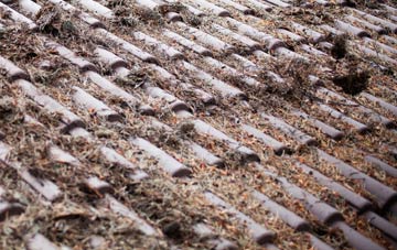 Bassett roof cleaning companies