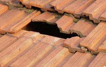 roof repair Bassett