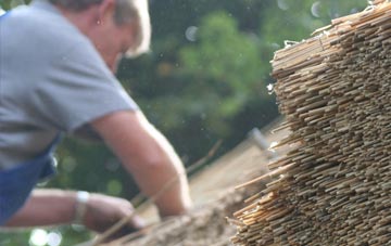 professional Bassett thatchers