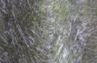 Bassett fibreglass roof work